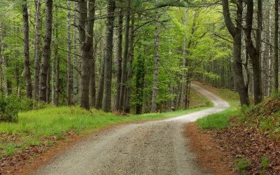 Support LD 958: Prohibit Eminent Domain on Wabanaki Land